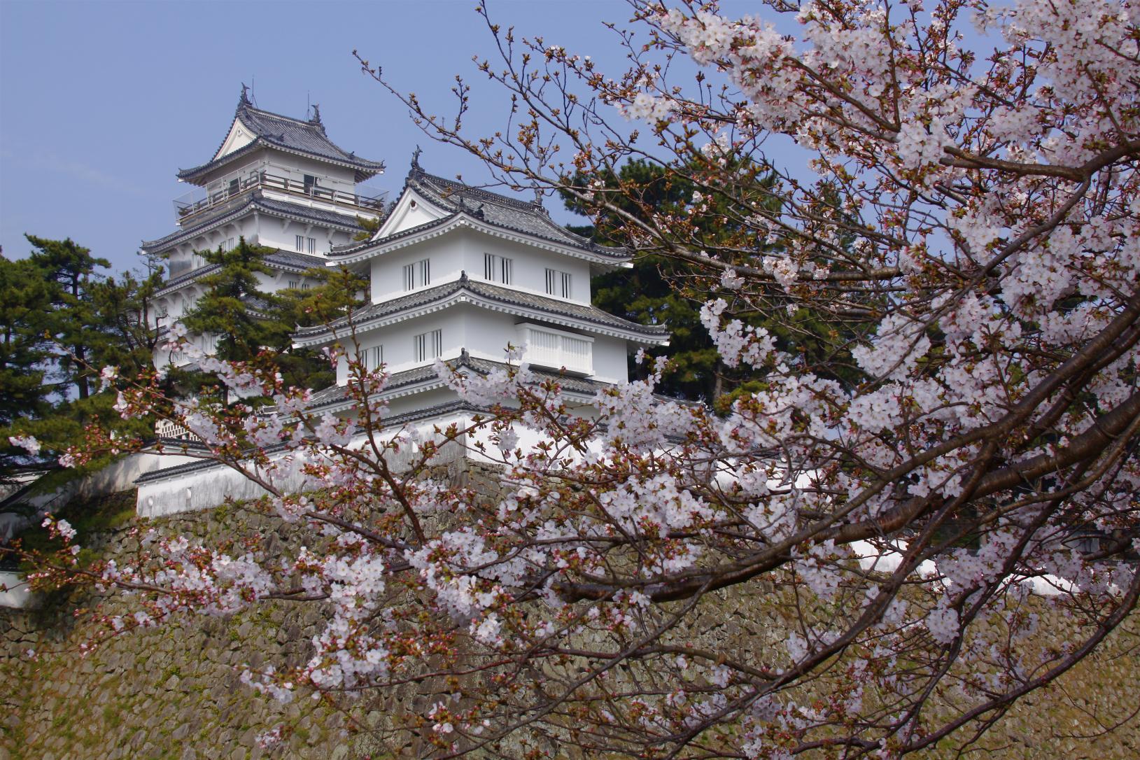 島原半島 絶景桜スポット巡り-1
