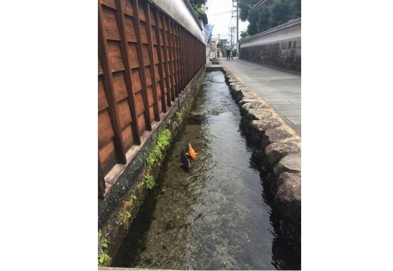 【3日目】島原湧水散策-1