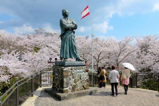 風頭公園の桜（長崎市）-1