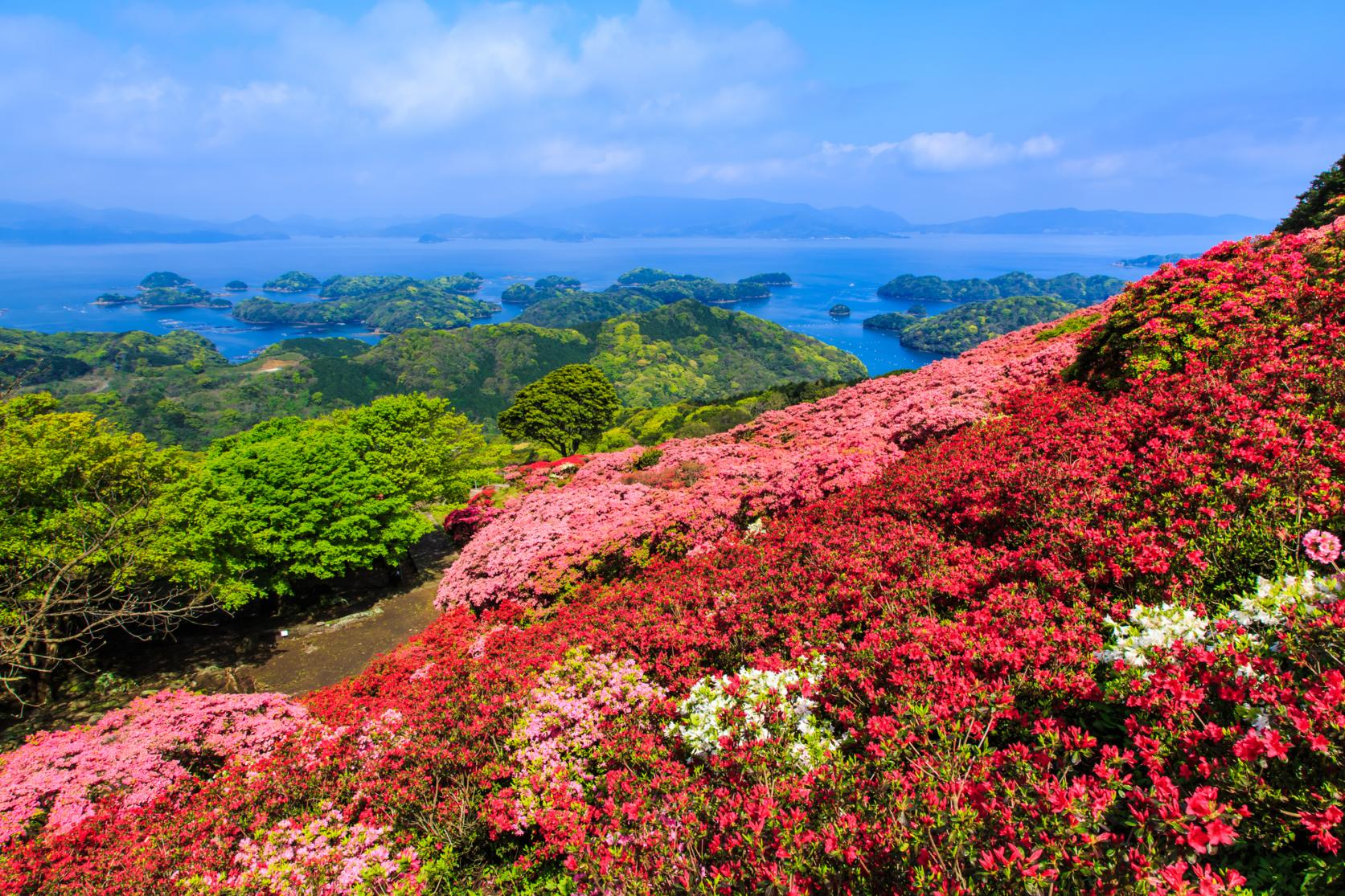 長串山のつつじ（佐世保市）-1