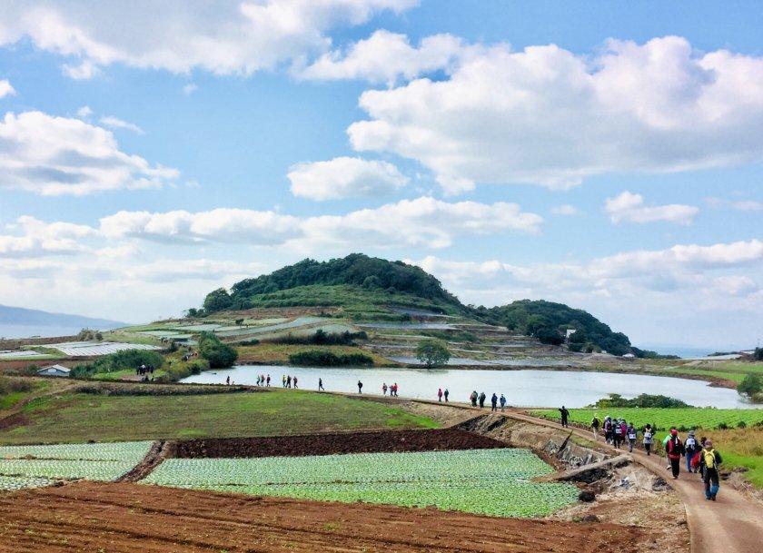 まるでヨーロッパの風景　野田堤・烽火山-1