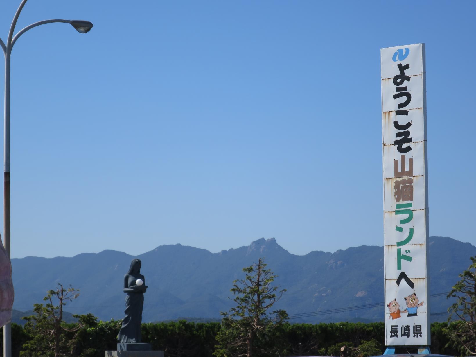 対馬やまねこ空港-1