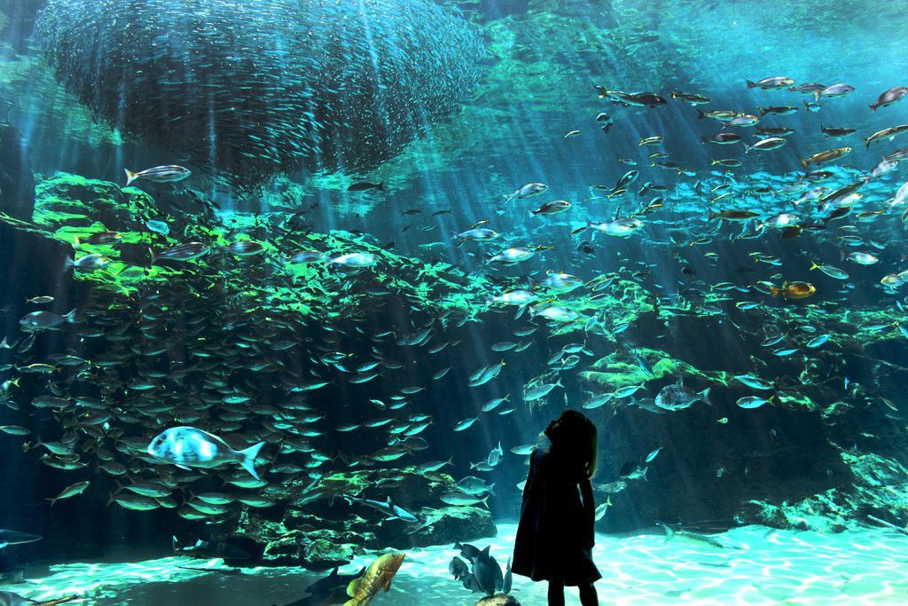 【Day 1】Umi Kirara Aquarium-1