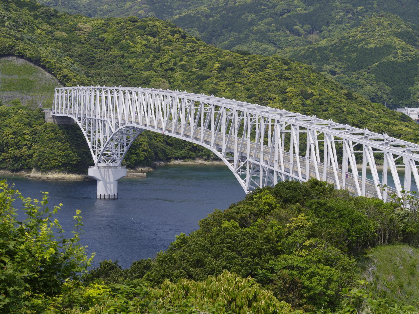 Wakamatsu Bridge-1