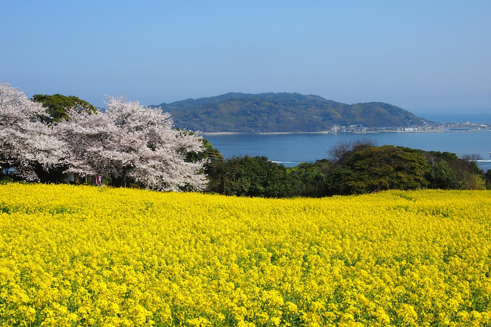 【第2天】能古岛岛上公园-1