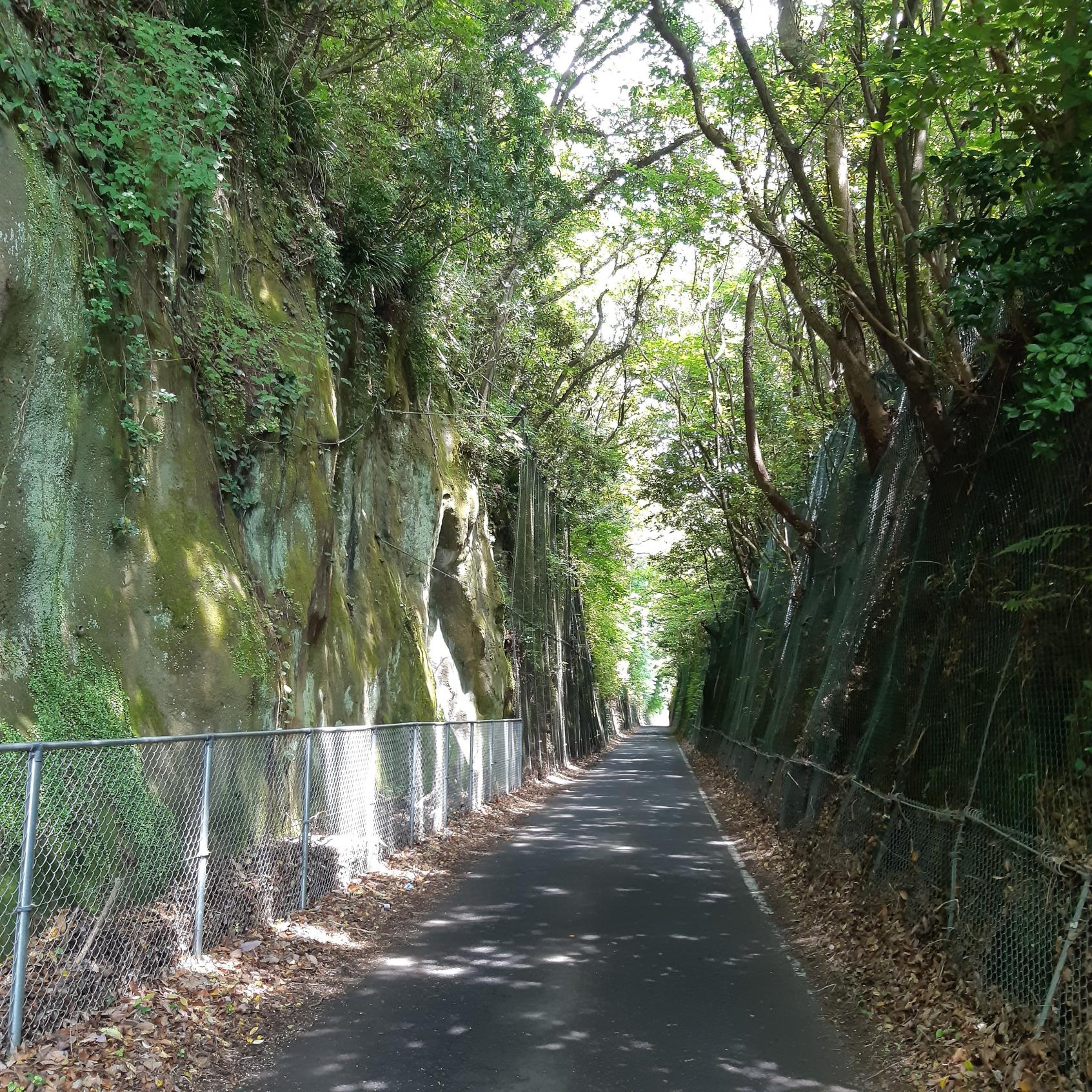 【雲仙市】旧小浜鉄道跡-1