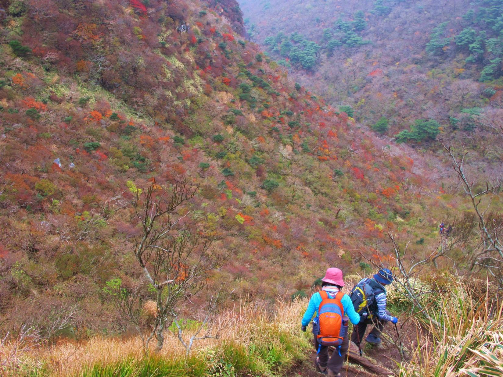 雲仙普賢岳トレッキング-1