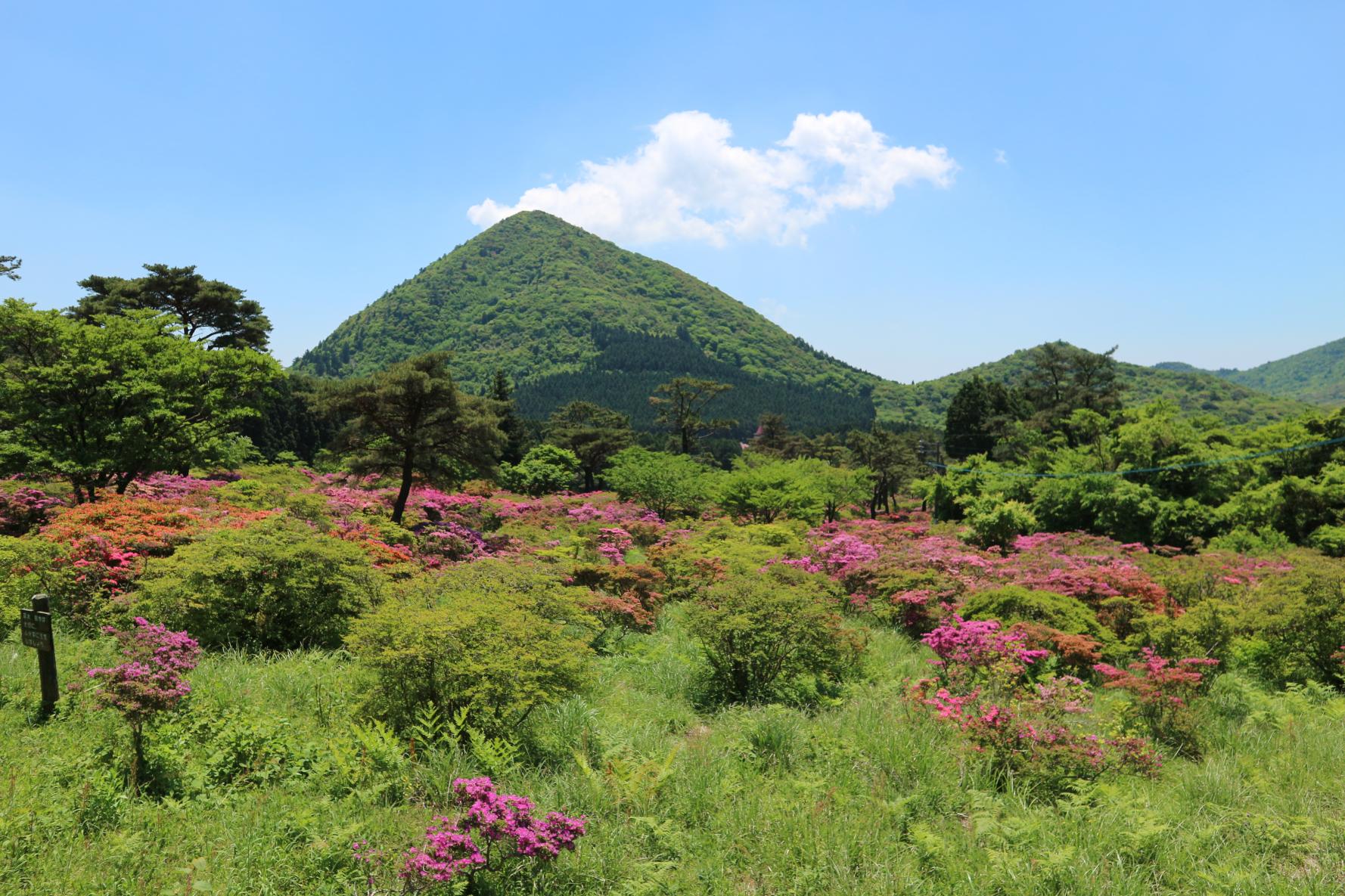 池の原園地-1