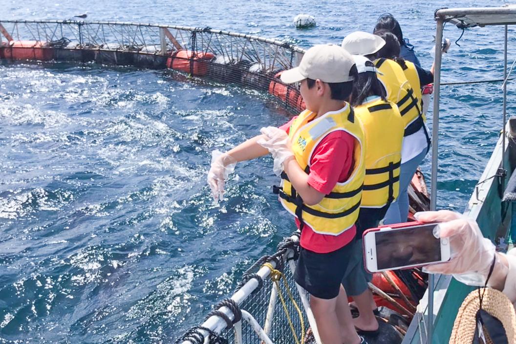 海で遊び、学び、記憶する-1