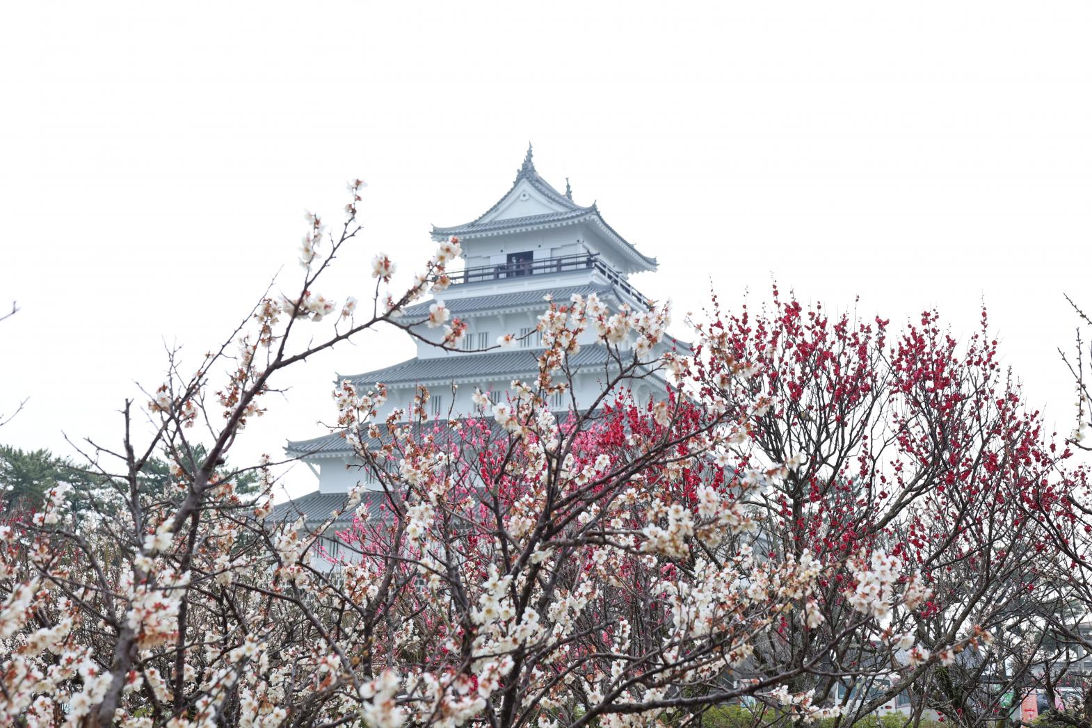 島原城（島原市）-1