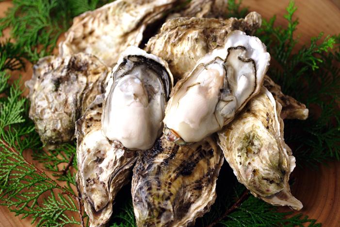 Kujukushima Oysters-1