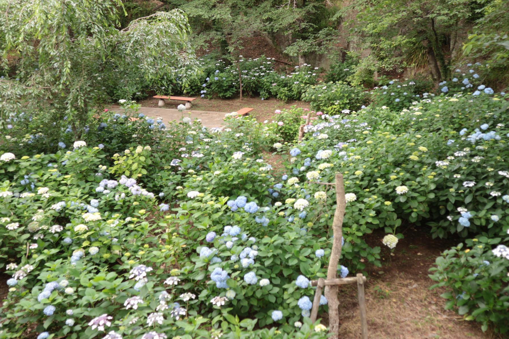 風頭公園（長崎市）-1