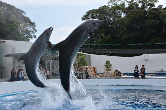 【2日目】九十九島水族館海きらら-1