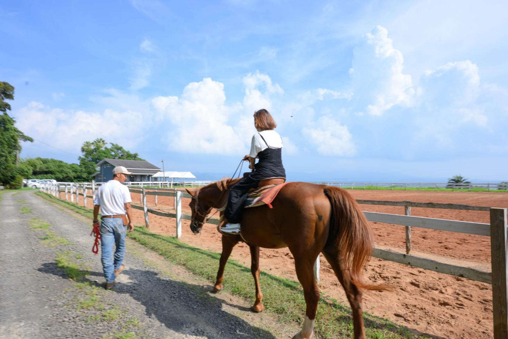 シービューランチ-1