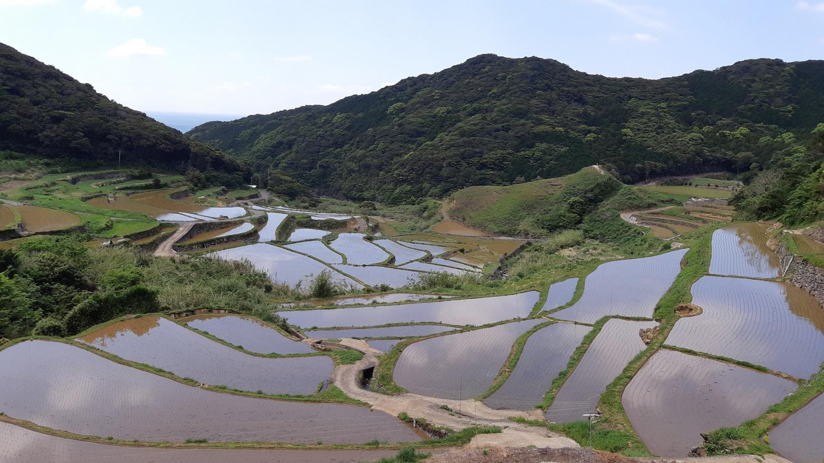 【15:20】平戸の聖地と集落(春日集落と安満岳)-1