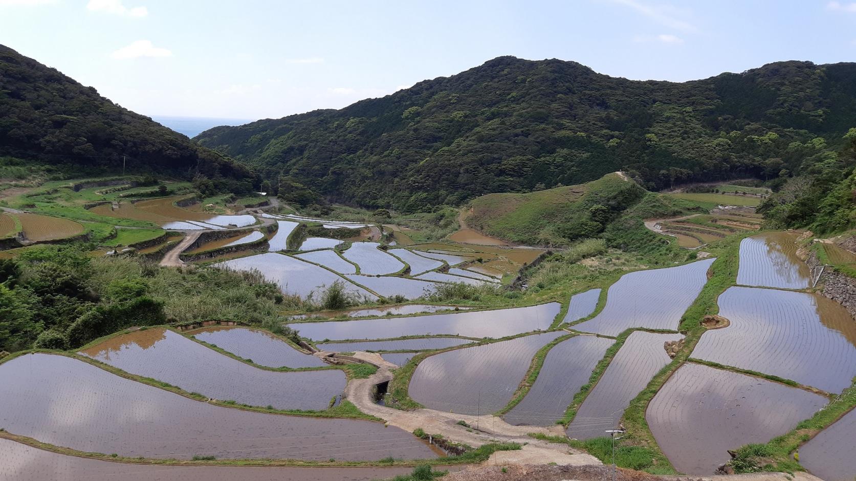 【15:20】平戸の聖地と集落（春日集落と安満岳）-1