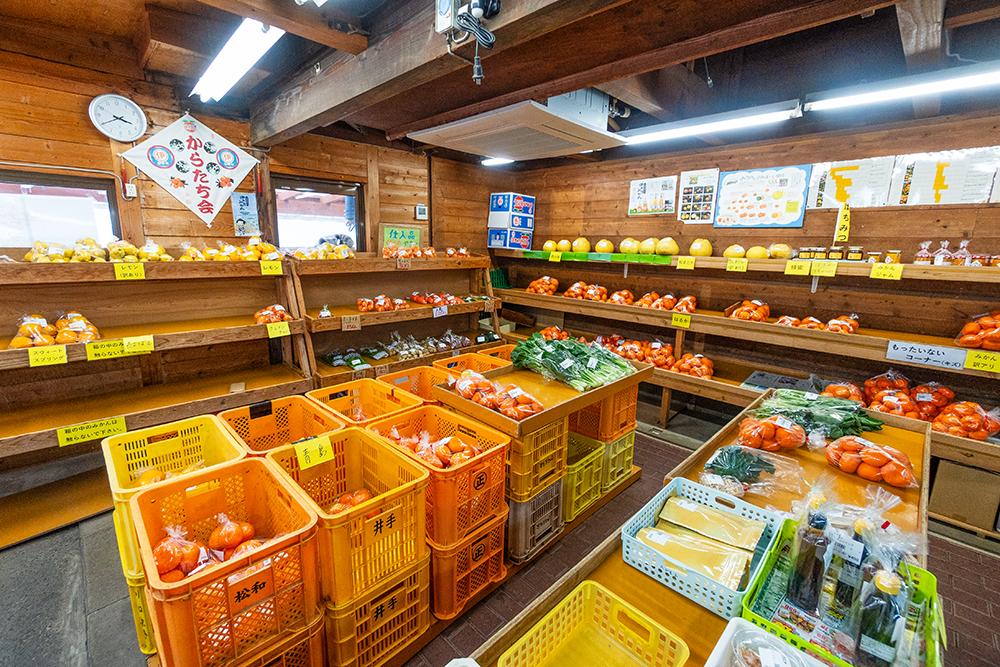 多良見町農産物販売所（からたち会）-1