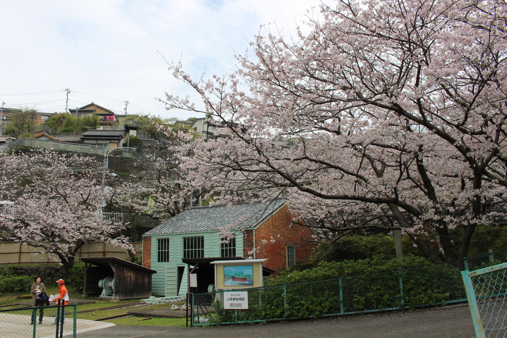 小菅修船場跡-1