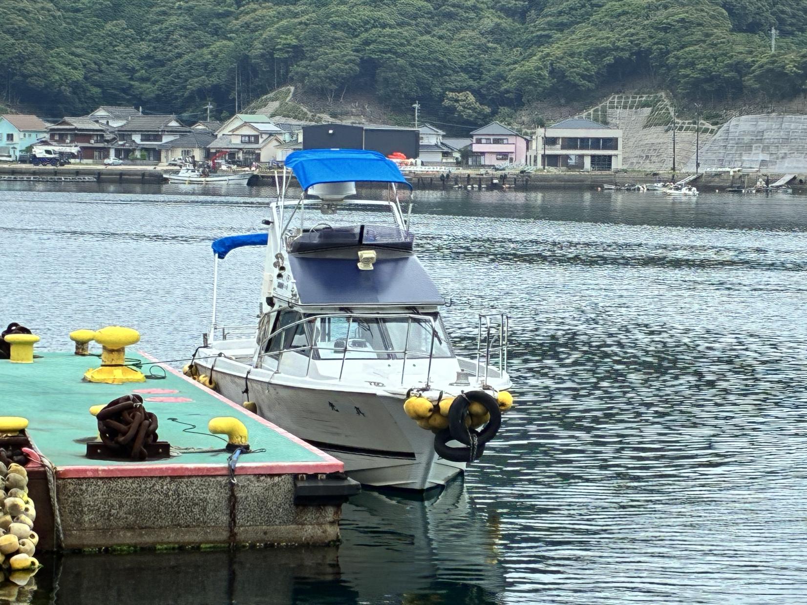 マグロ御膳付クロマグロ探究クルーズ-1