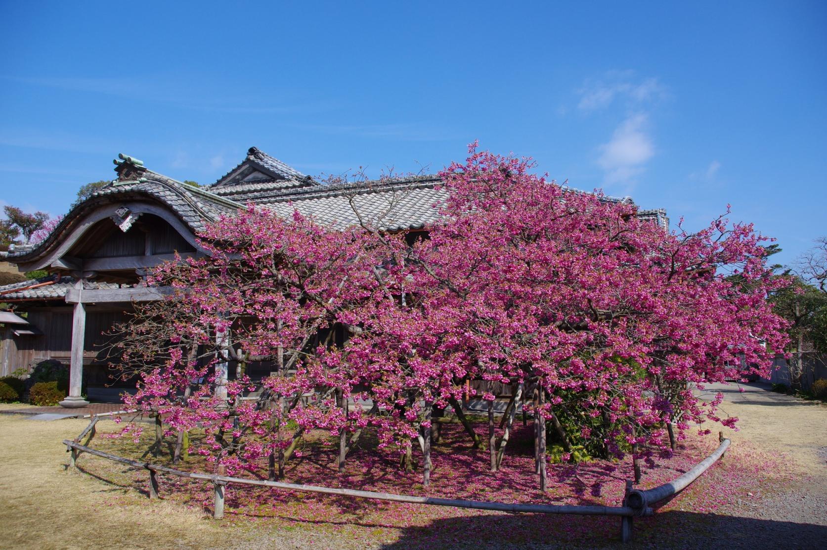 【1日目】国見神代小路歴史文化公園鍋島邸-1