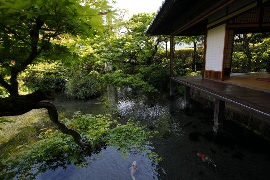 【2日目】湧水庭園　四明荘-1