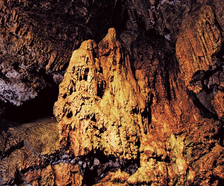 西海市　「自然あそびと冒険のまち。」-4