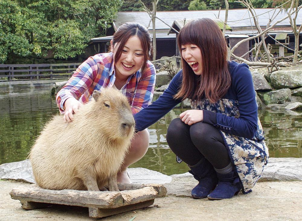 西海市　「自然あそびと冒険のまち。」-0