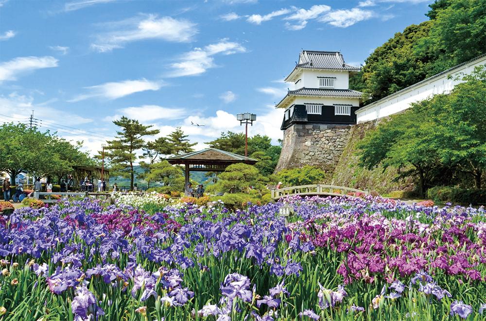 大村市「花とアクティビティのまち。」-0