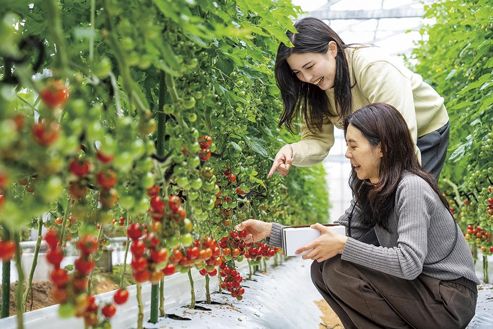 諫早市「名物グルメのまち。」-7