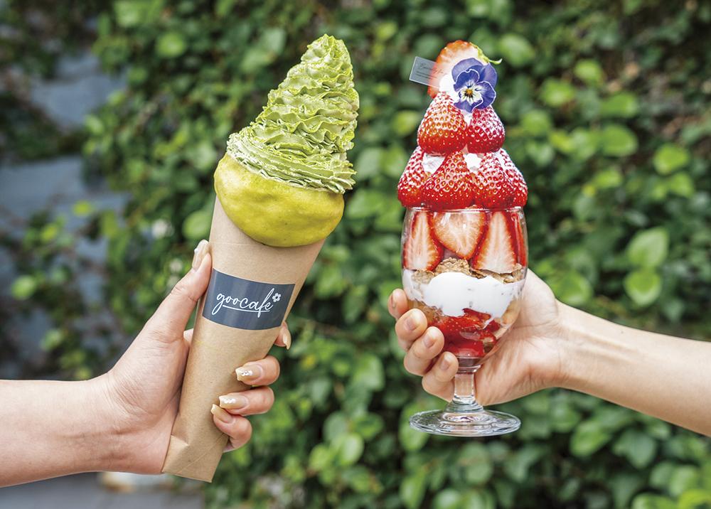 東彼杵町　「そのぎ茶とカフェのまち。」-4