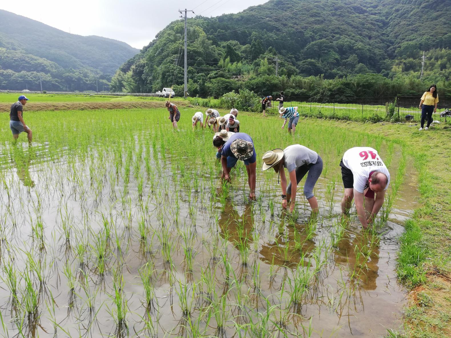 推薦體驗⑨ 農業、水產業體驗-1