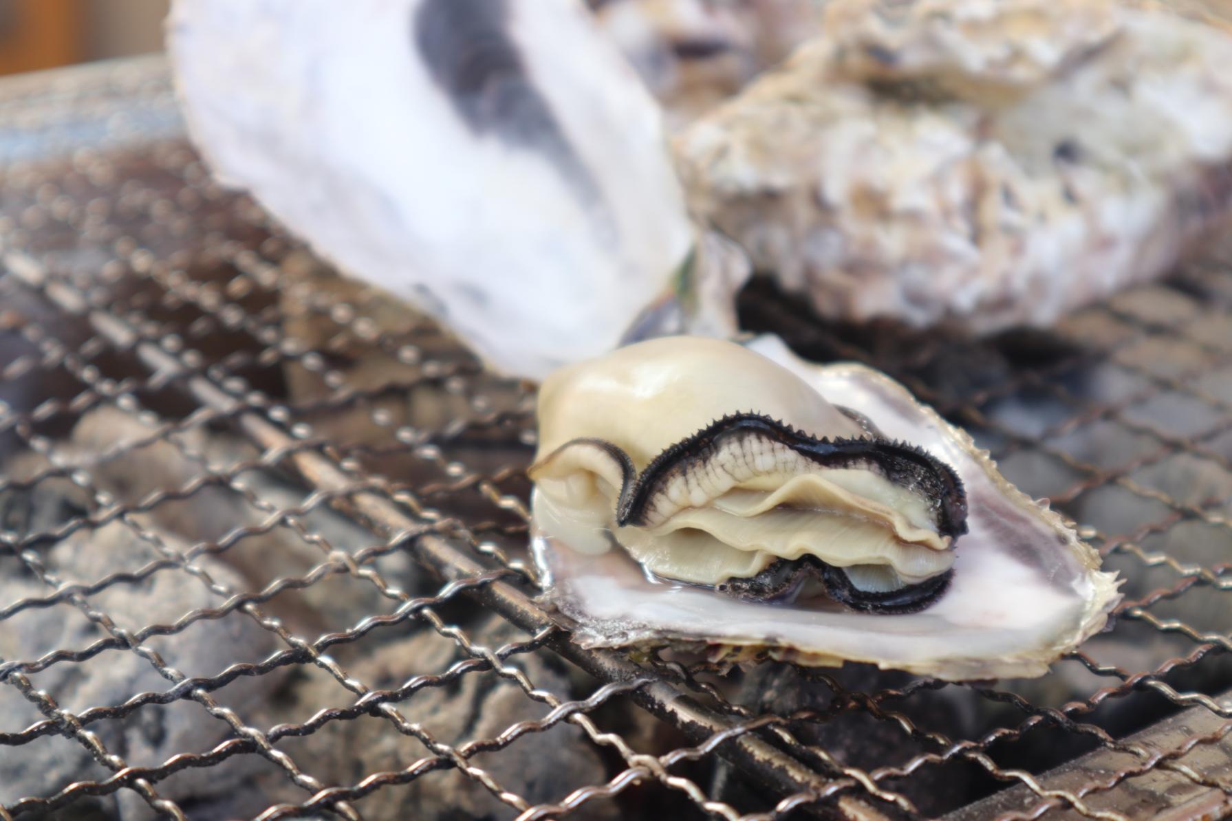 これぞしま旅の醍醐味！海を眺めながら浜焼き・焼き牡蠣を楽しむ-2