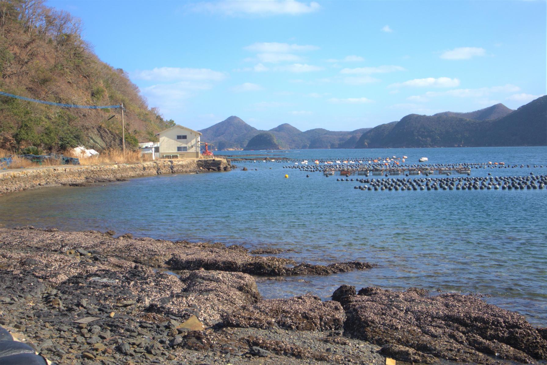 これぞしま旅の醍醐味！海を眺めながら浜焼き・焼き牡蠣を楽しむ-1