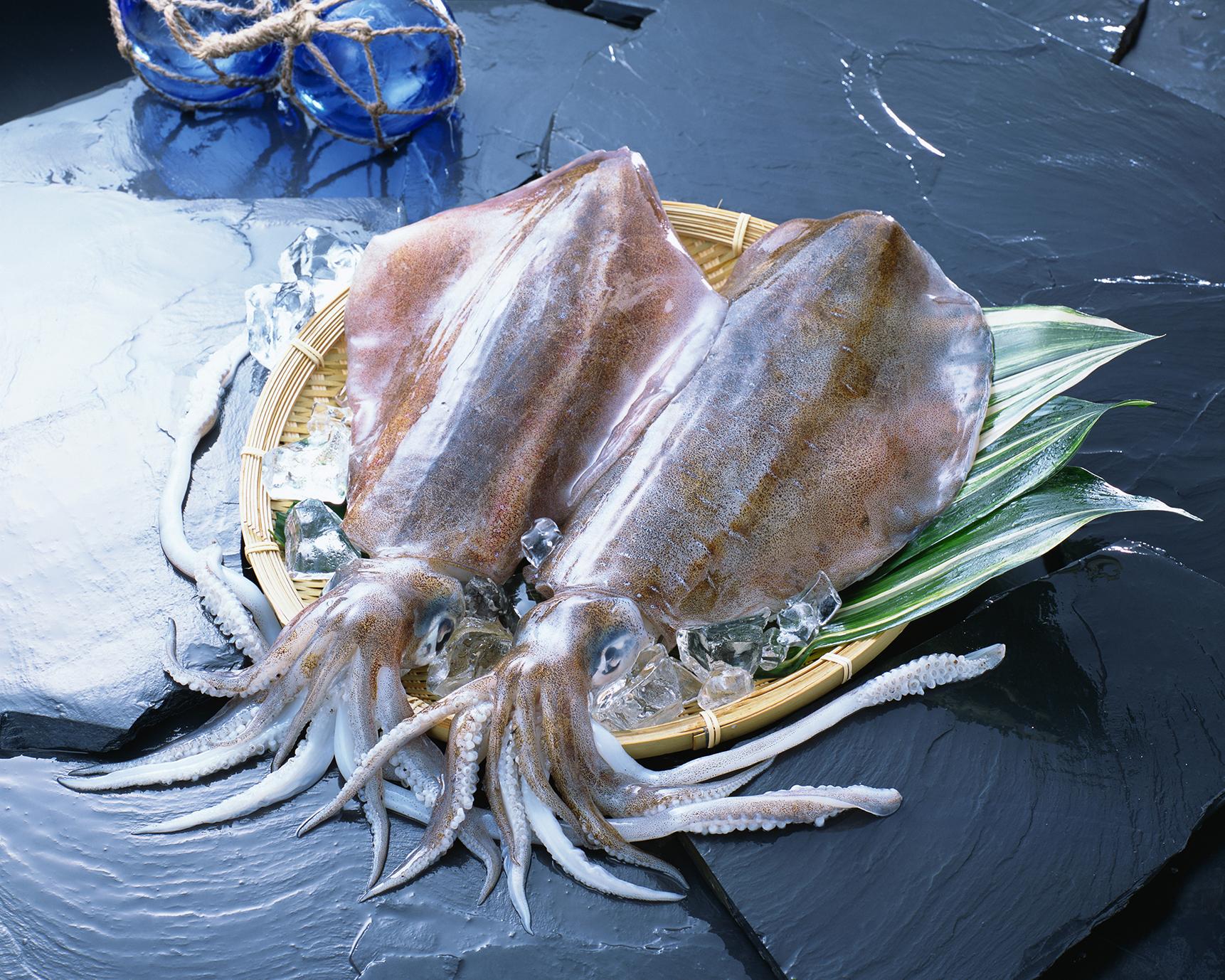 獲れたて・新鮮なイカは無色透明！噛むほど溢れる甘さに驚くなかれ。-0