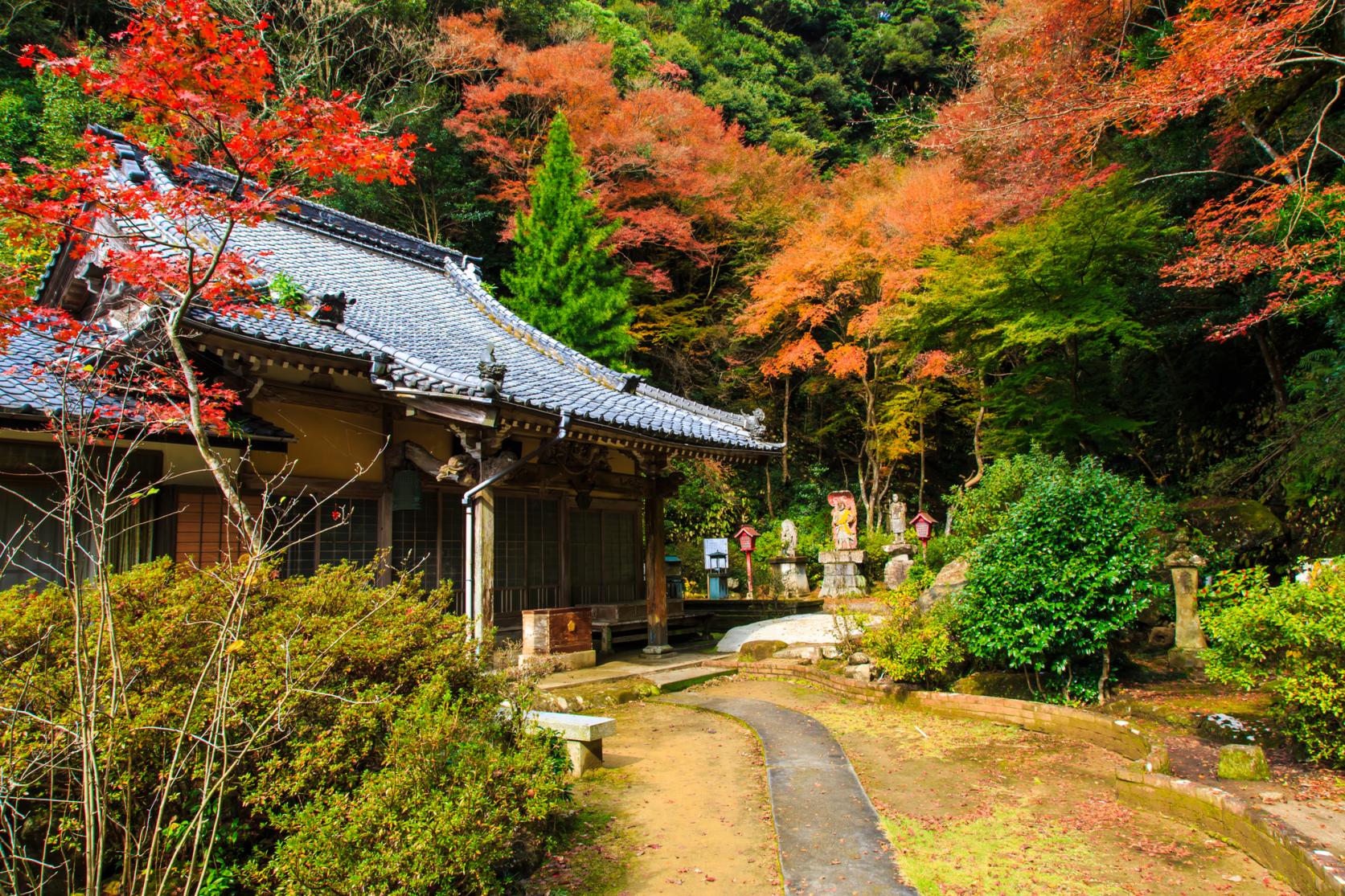 大きな石橋にびっくり！「御橋観音　石橋」（佐世保市）-0
