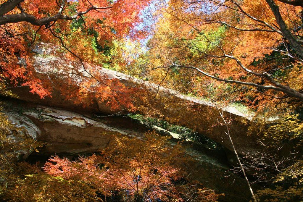 大きな石橋にびっくり！「御橋観音　石橋」（佐世保市）-2