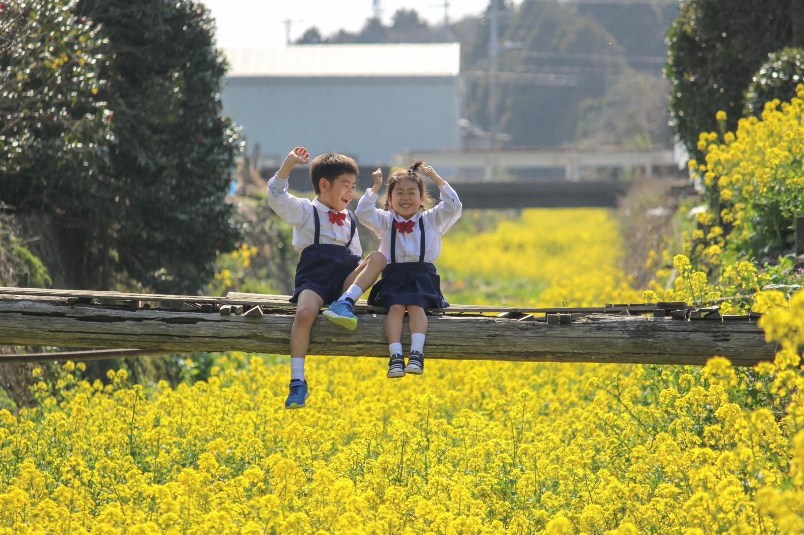 菜の川（五島市）-0