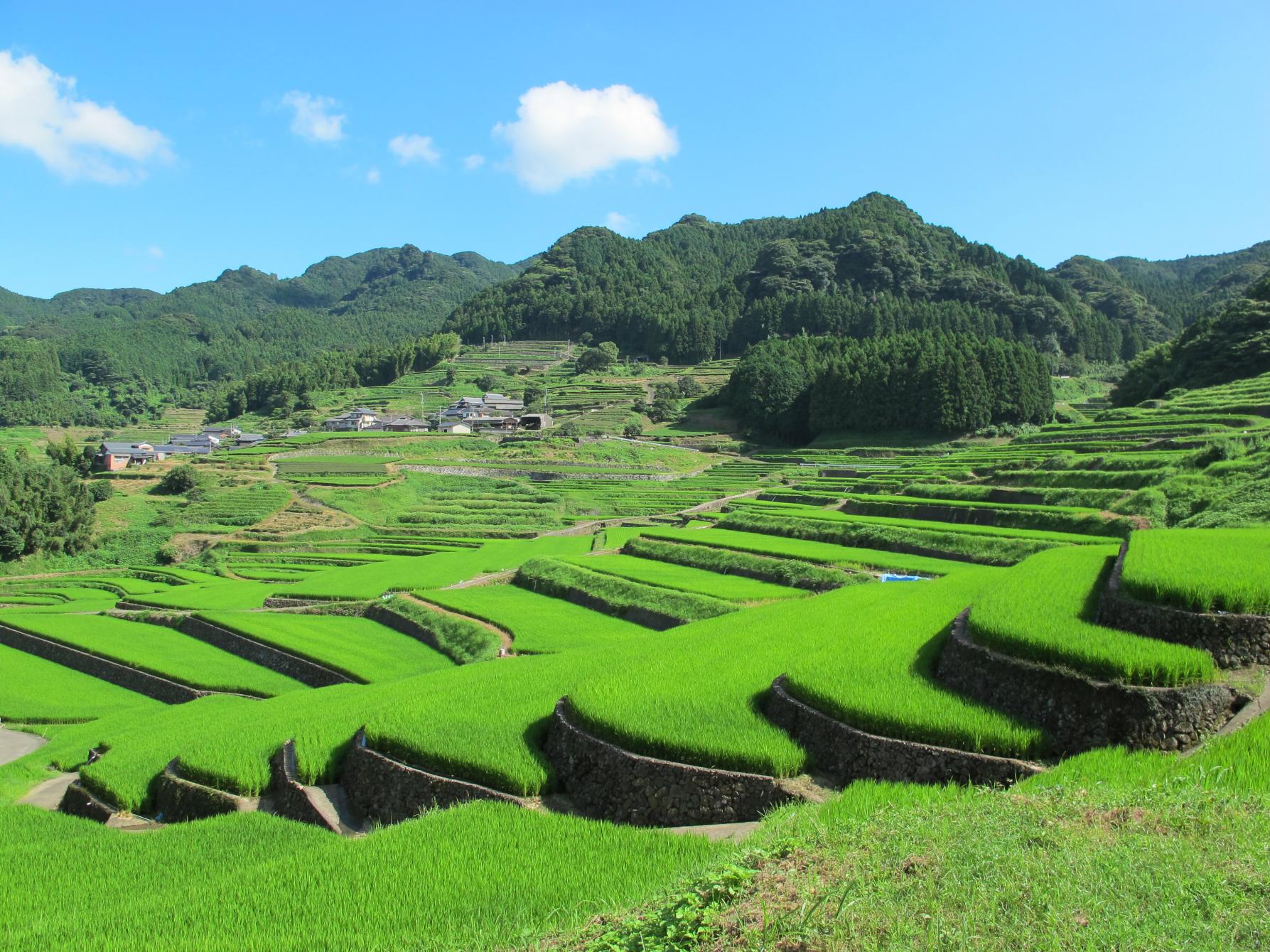 长崎县中部地区-5