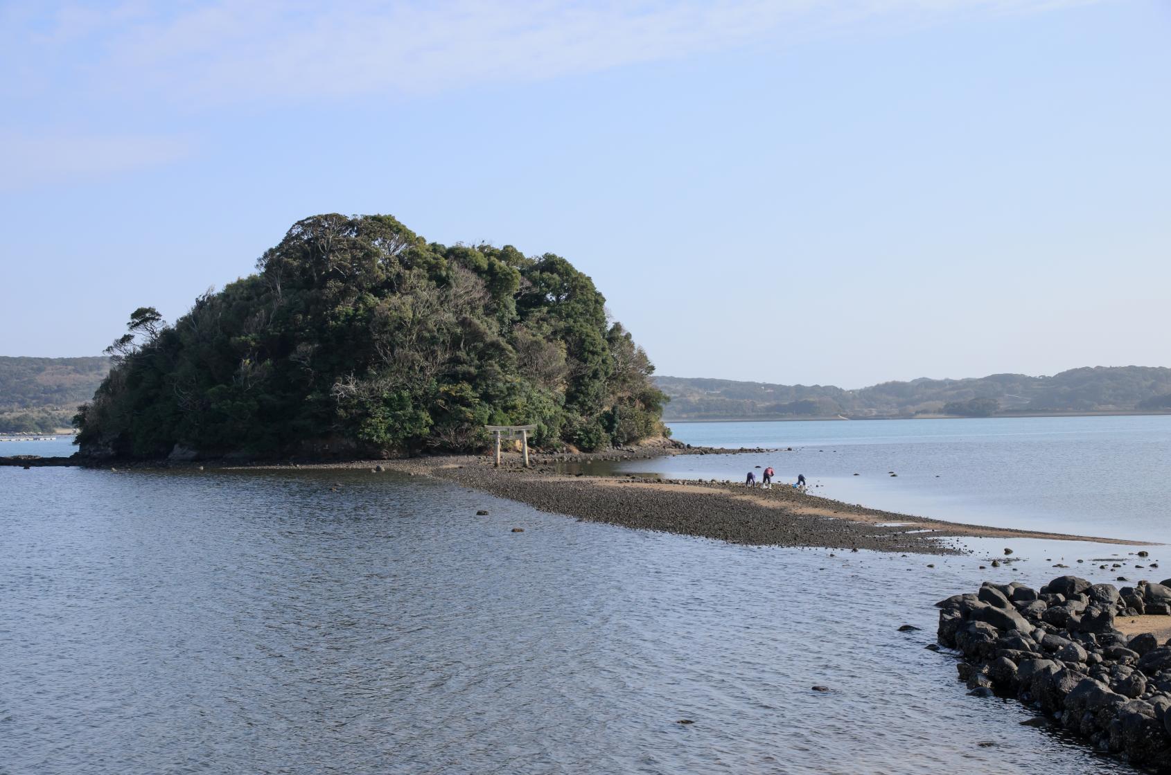 參拜道路從海中浮現的「小島神社」-0