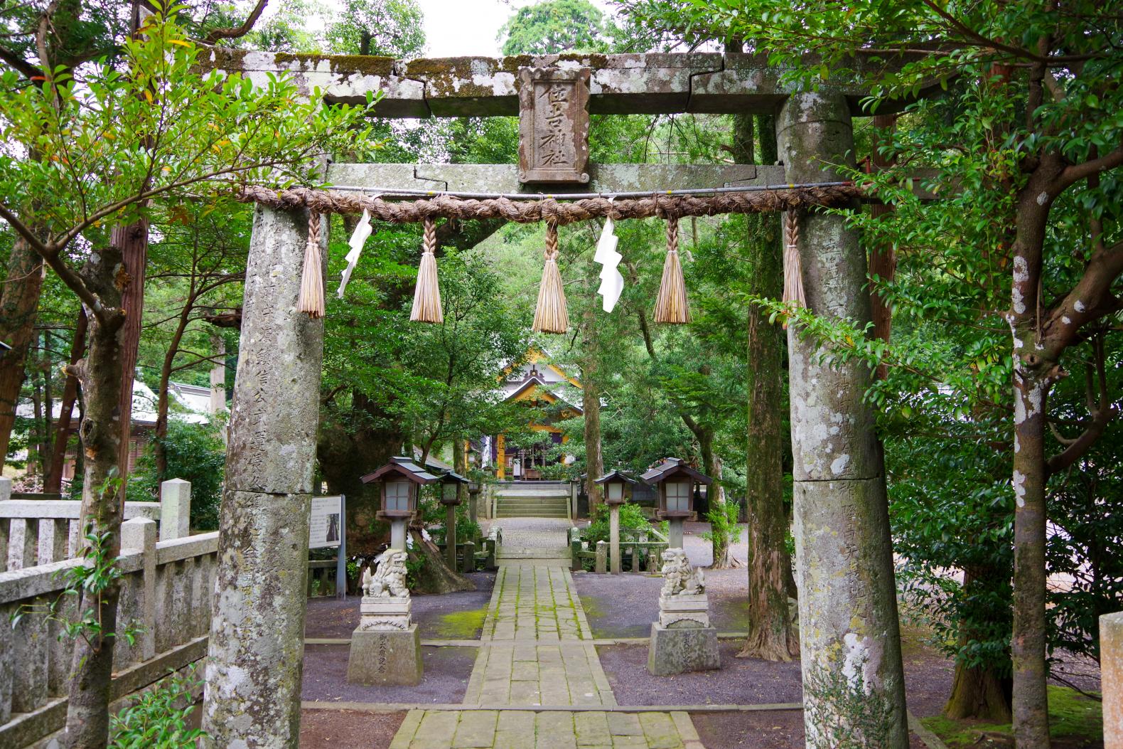 Sumiyoshi Shrine with a Fufu Kusu (Married Couple camphor Tree) That Makes Your Wishes Come True-0