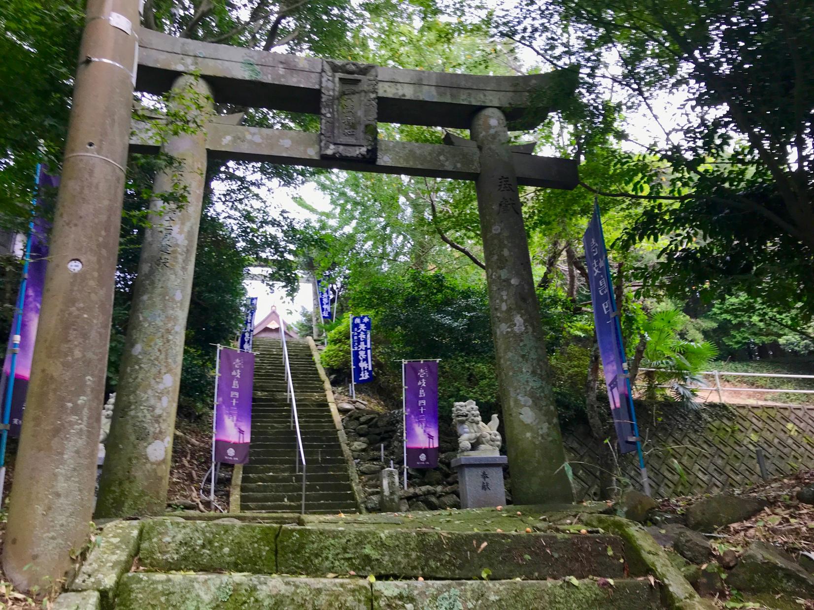 壹岐格调最高的神社 “天手长男神社”-2