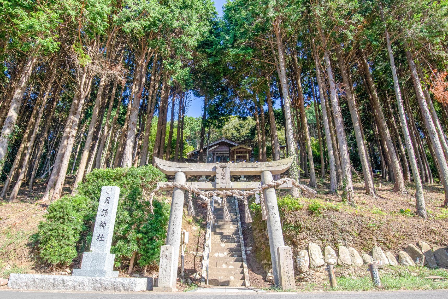 能感受到月神能量的「月讀神社」-0