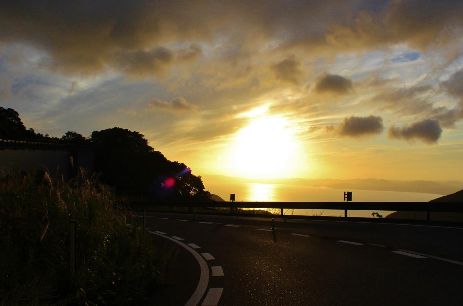 Unzen: Cruising through a Volcanic Peninsula Forest-7