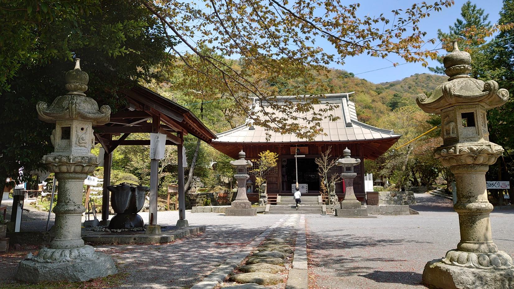 Unzen: Cruising through a Volcanic Peninsula Forest-4