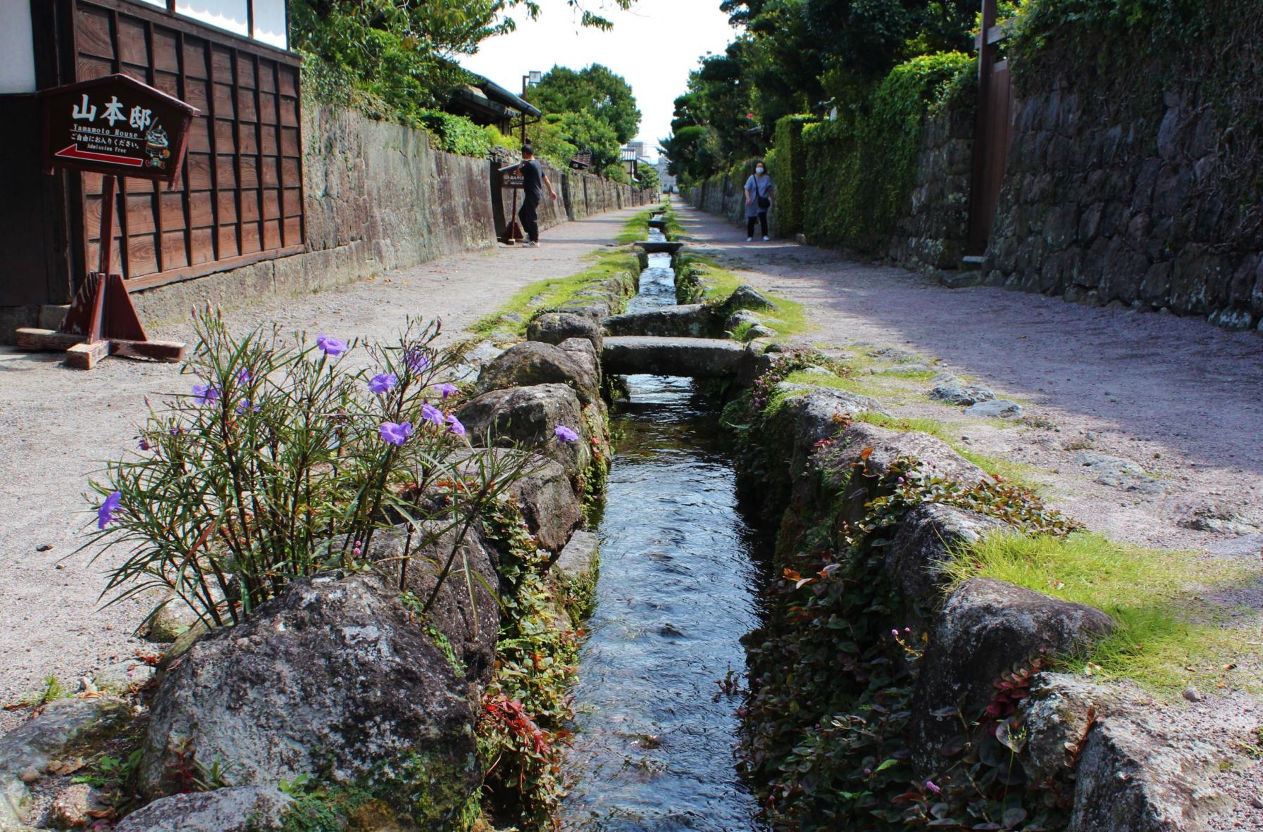 Shimabara: A Castle Town and the City of Swimming Carps-4