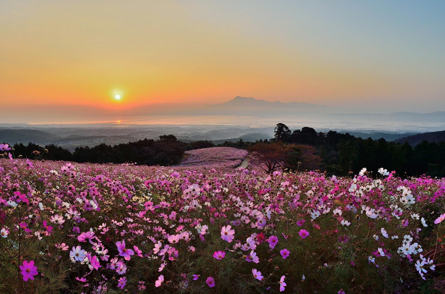 花の名所編-0