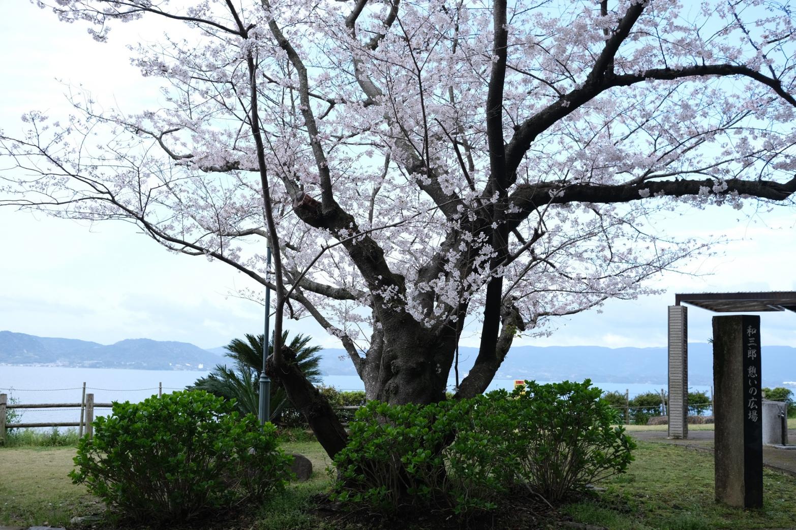 長与町の風景-4