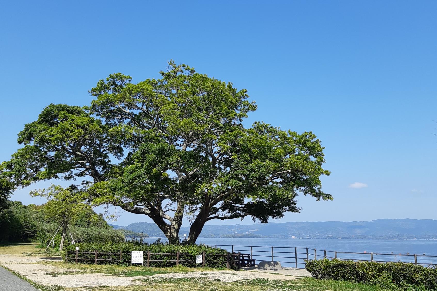 長与町の風景-2