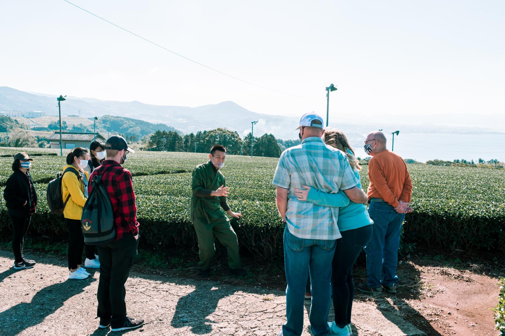 Become an Expert on Japanese Tea-1