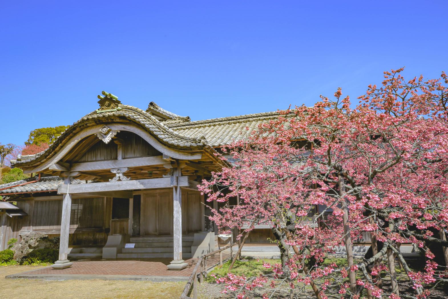 운젠 (Unzen, 雲仙)-0